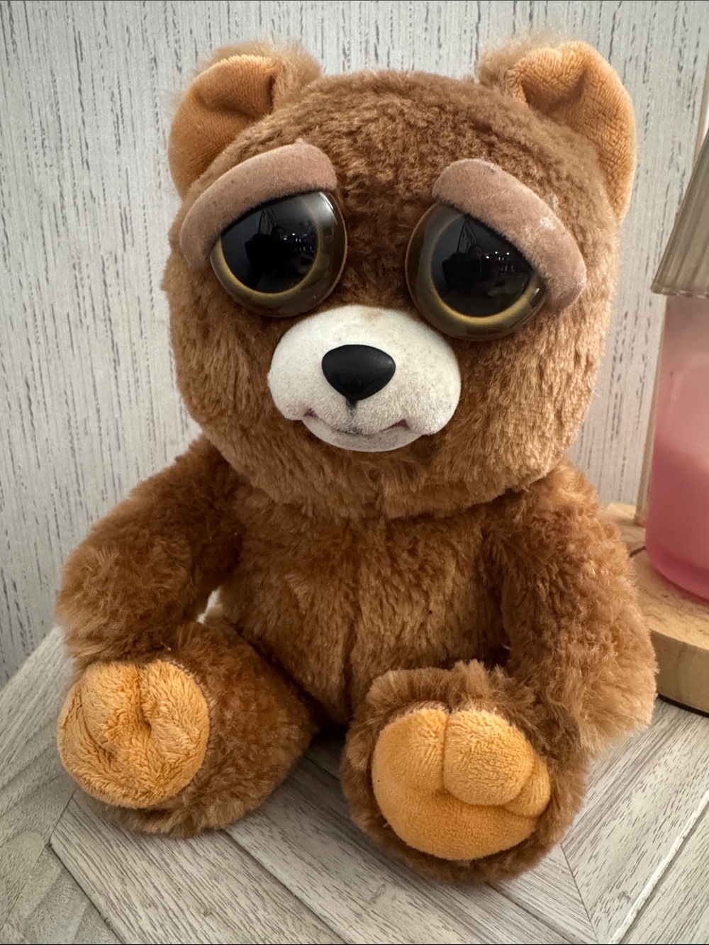 Fiesty pet bear